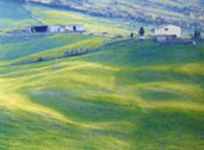 Vista della Valle attorno a Montenero in estate